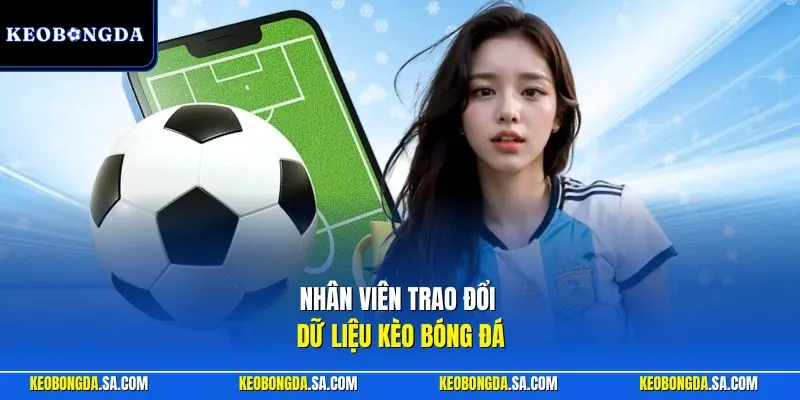 Nhân viên trao đổi dữ liệu kèo bóng đá